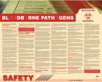 NMC PST005-POSTER, BLOOD BOURNE PATHOGENS, 24X30 (1 EACH)
