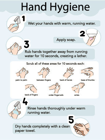 NMC PST112-POSTER, HAND HYGIENE, 24X18,  LAMINATED (1 EACH)