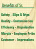 NMC PST118-POSTER, BENEFITS OF 5S, 36X24, LAMINATED (1 EACH)