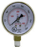 Radnor 64003439  2 1/2'' X 200 PSI Brass Replacement Regulator Gauge