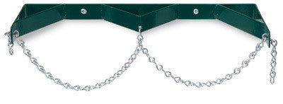 Radnor 64003561  Model WB200C Steel Double Cylinder Wall Bracket With Chain (1 PER CASE)