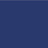 NMC T210-TAPE, HAZARD, BLUE, 2''X36 YD (1 ROLL)