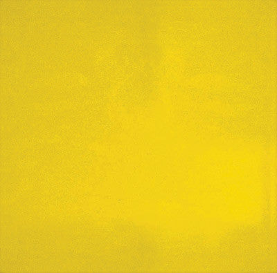 Radnor 64052102 6' X 6' 14 MIL Yellow Transparent Vinyl Replacement Welding Screen  (1/EA)
